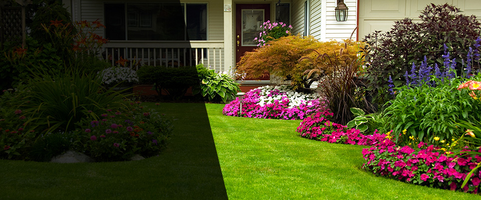 Tyler Landscapers