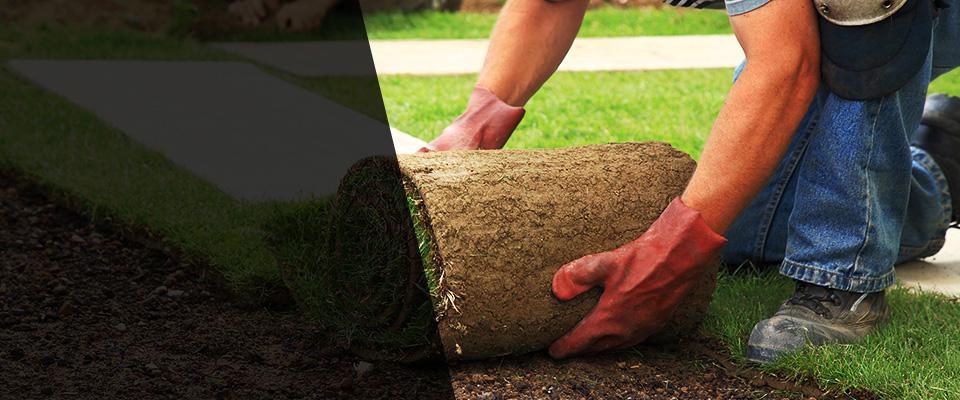 Tyler Landscapers